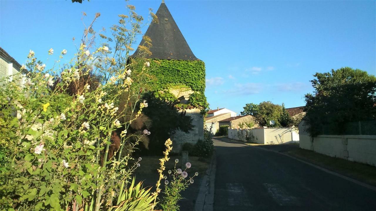 Les Gites Du Vigneron Et Cd'H Saint-Seurin-de-Palenne Luaran gambar