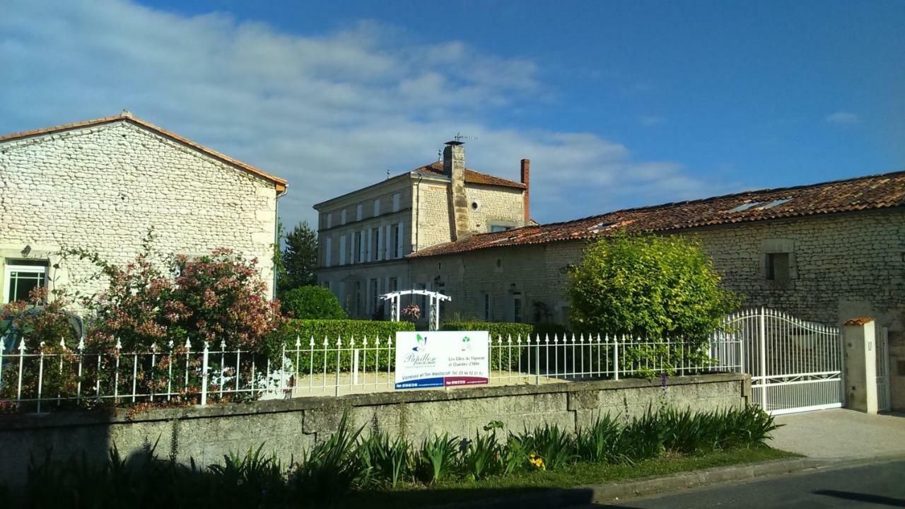 Les Gites Du Vigneron Et Cd'H Saint-Seurin-de-Palenne Luaran gambar
